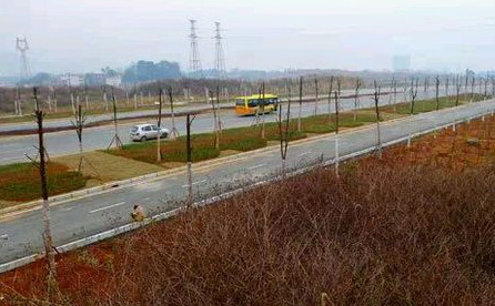 湖師大武岡附中項目建設，9月全面開建