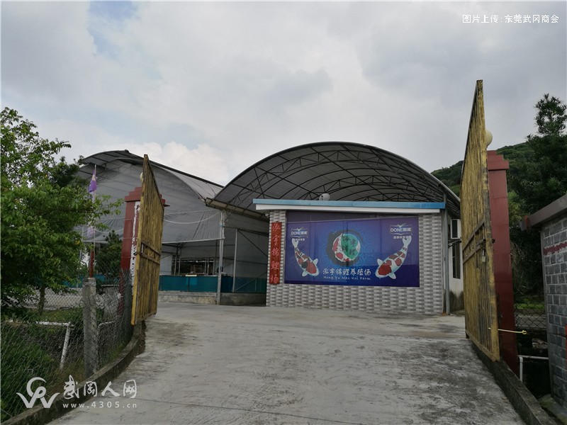 理事单位：东莞市永干连接器有限公司、广东泓宇锦鲤养殖场