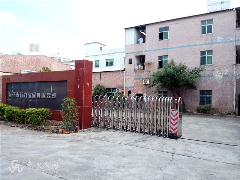 会员单位:东莞市新力家具有限公司