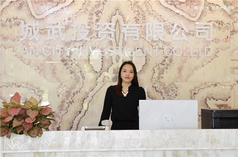 东莞市城武投资有限公司