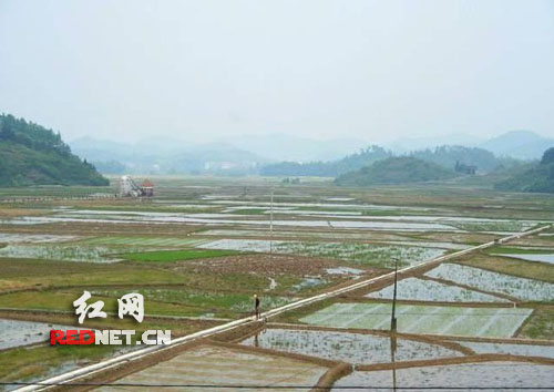 武冈冬春水利建设总投工投劳500万个