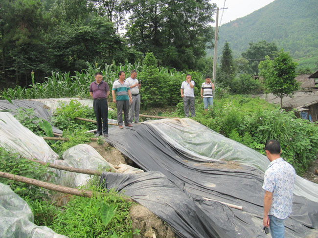 武冈双牌双岭滑坡治理建设工程141万，最终中标企业花落谁家？