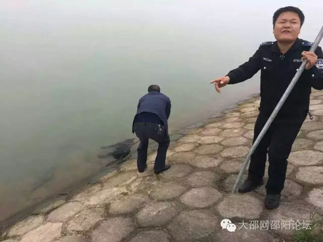 隆回瘋狗一連咬傷十余人 城管隊(duì)員緊急捕殺