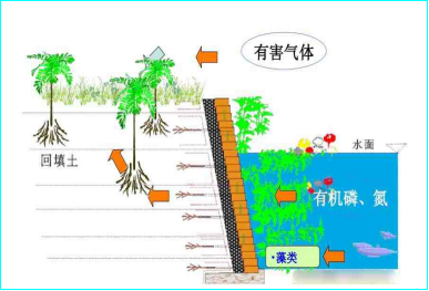图片8副本.jpg