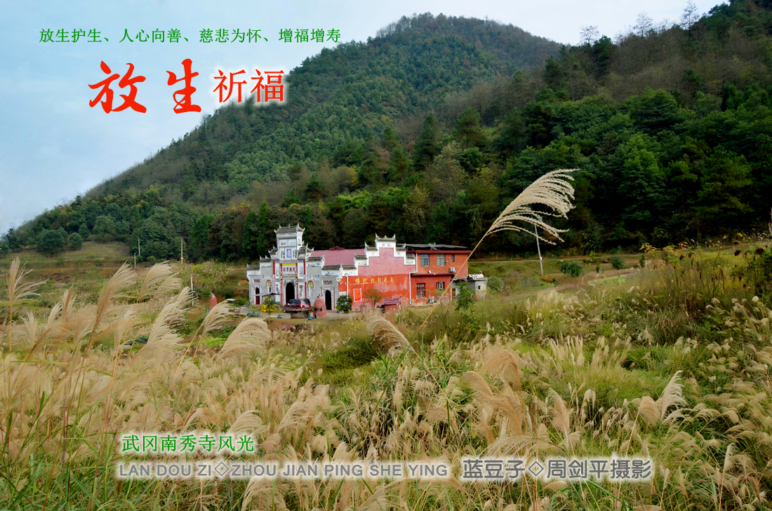 武冈神秘南秀寺～亲身体验吃斋饭拜佛放生记