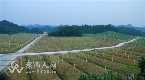 夯實(shí)農(nóng)業(yè)基礎(chǔ) 加快發(fā)展現(xiàn)代農(nóng)業(yè)