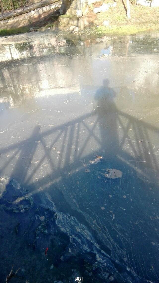 昔日武岡龍湖魚(yú)水歡躍，而今已成臭水溝