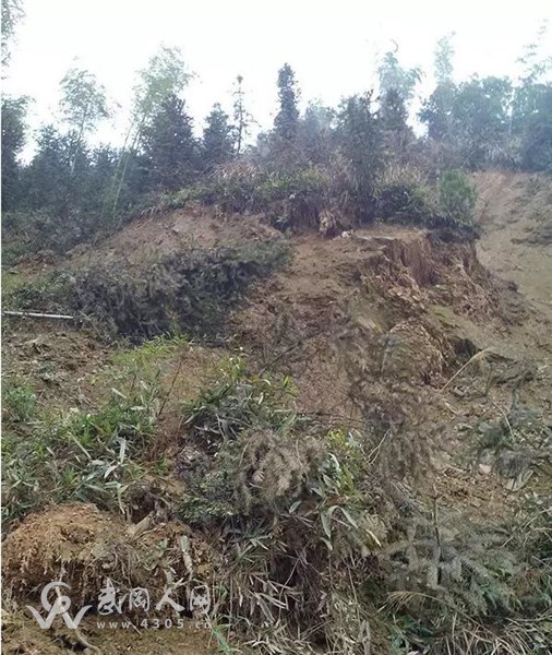 武岡灣頭橋城口村有兩處山體滑坡,過往者注意!