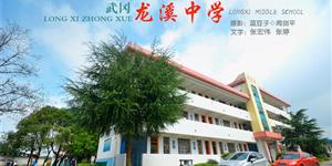 龙溪中学--武冈首批农村示范学校