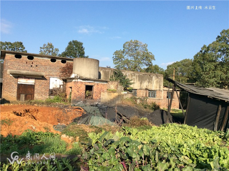 东塔下有东塔寺？东塔寺旁埋忠骨？