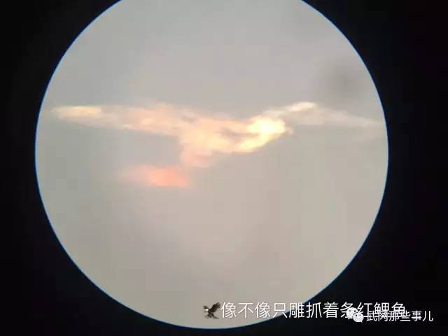 武岡驚現(xiàn)“大鵬展翅”!