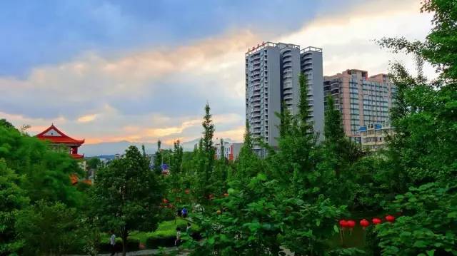 5月1日開始,武岡城區(qū)禁炮，舉報(bào)有獎(jiǎng)!