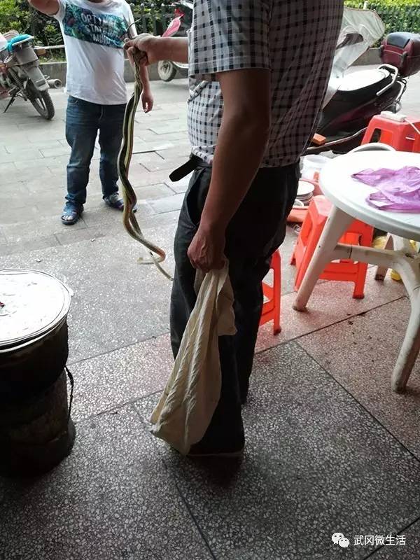 武岡一男子不顧眾人安危，在公眾場(chǎng)合玩蛇？！