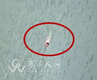 突發(fā)!今日上午武岡半山水域發(fā)現(xiàn)一具浮尸……