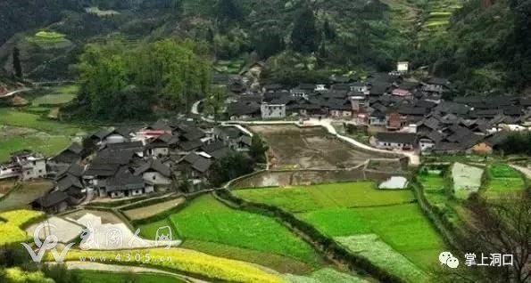 農(nóng)村選舉之痛