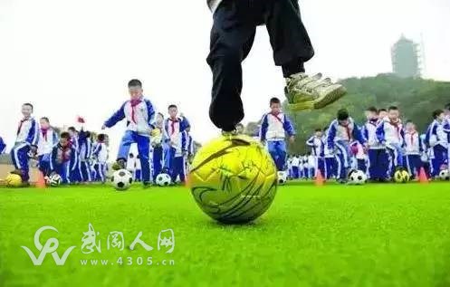 邵陽這18所學校被國家提名啦！武岡3所！快看有你母校嗎？