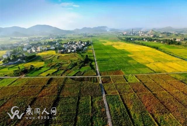 鄧元泰的武岡第一村,你知道嗎?
