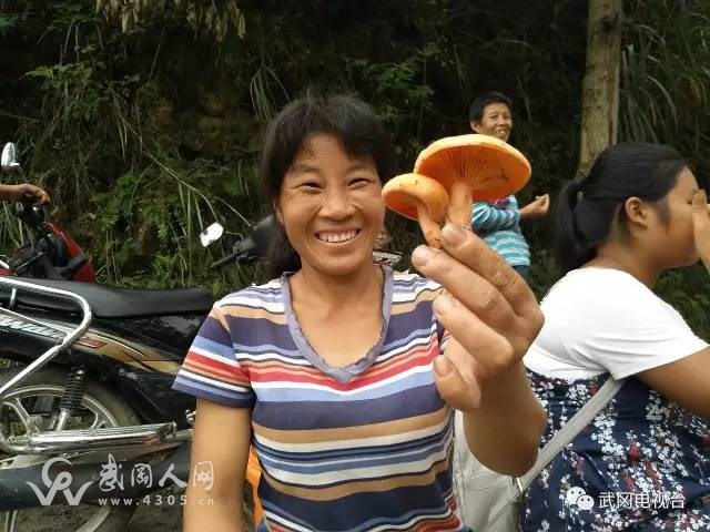 武岡就在路邊賣剛采摘的樅樹菌，家鄉(xiāng)的味道你還記得嗎？