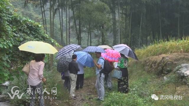 武岡天子山要火啦!省里旅游專家專程來考察