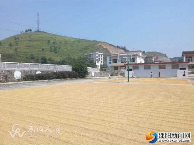 農(nóng)民豐收,但也不能在學(xué)校這樣啊