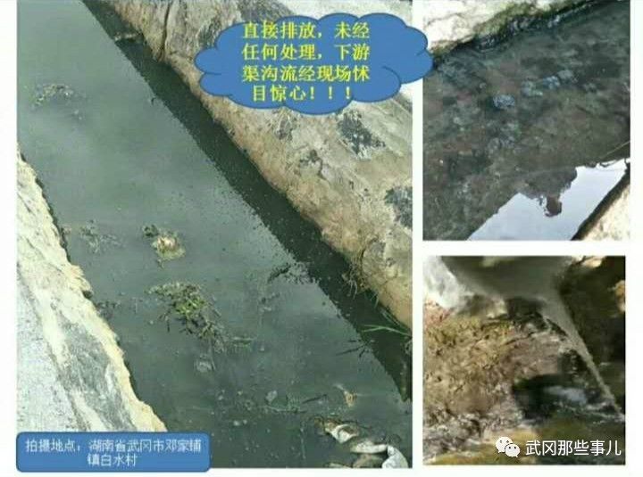 武岡某魚塘的魚大量死亡，井水渾濁不堪