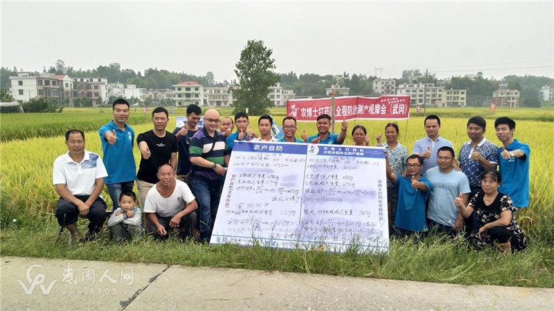 湾头桥镇专业水稻植保亩产增加188斤