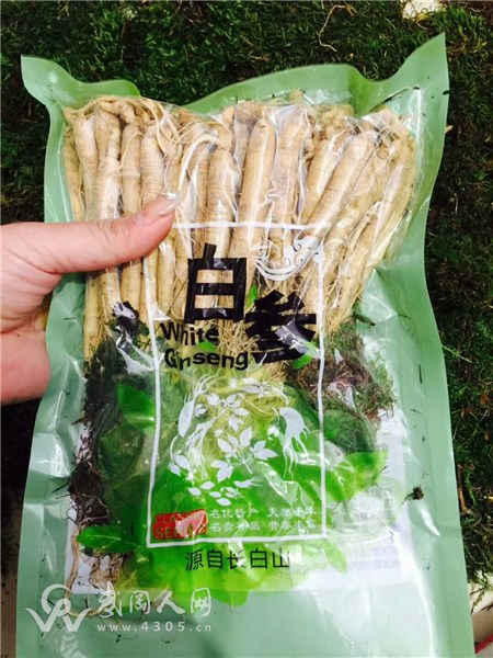 微信图片_20170914101728.jpg