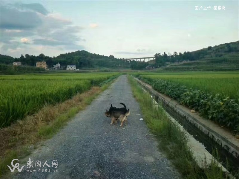 五绝 背乡（外三首）