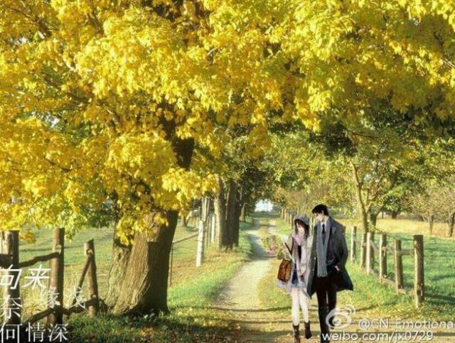 纵是微尘也千秋