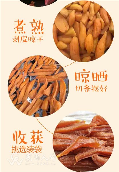 地瓜片_05.jpg