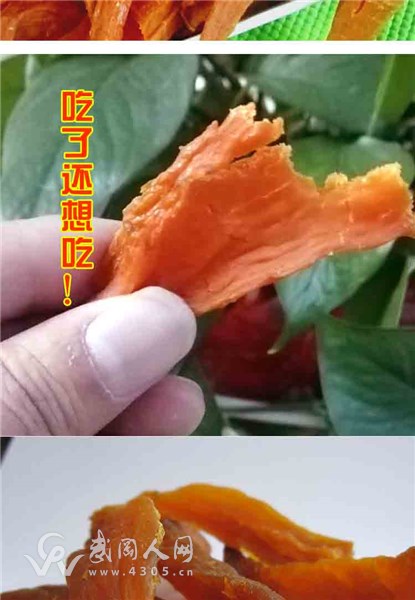 地瓜片_09.jpg
