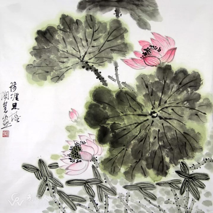 陶慧花鸟画之所见：映日荷花别样红