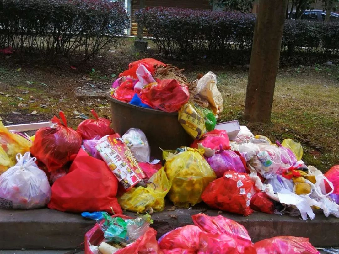 武岡某小區(qū)垃圾滿地,美麗武岡在哪里?