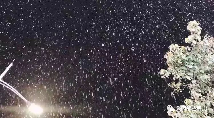 武冈下坡雪啦！真的太美了！