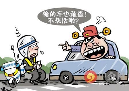 這個車主辱罵武岡執(zhí)勤交警被依法行政拘留