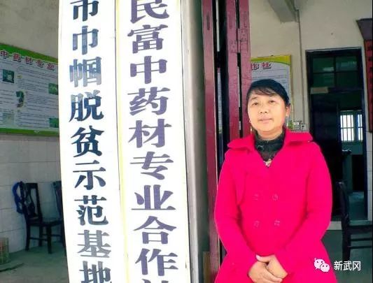 武岡周妹子利用荒廢的田土種植中藥材走上致富之路