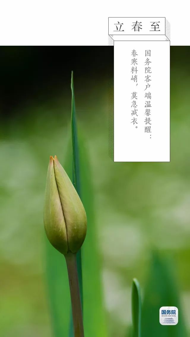 今日立春丨鶯初解語，最是一年春好處
