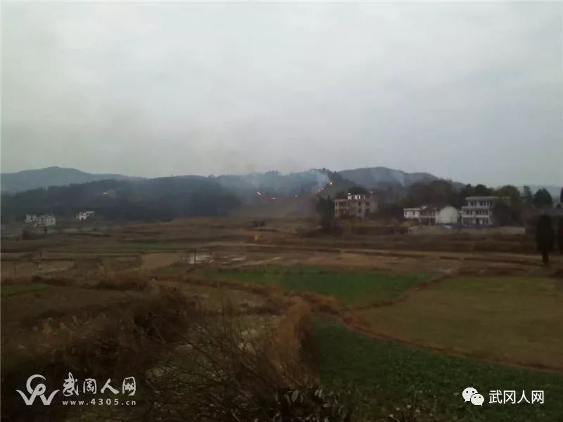 武岡新建材城、司馬沖、玄羊、九塘、公塘、文坪多處起火!損失慘重!
