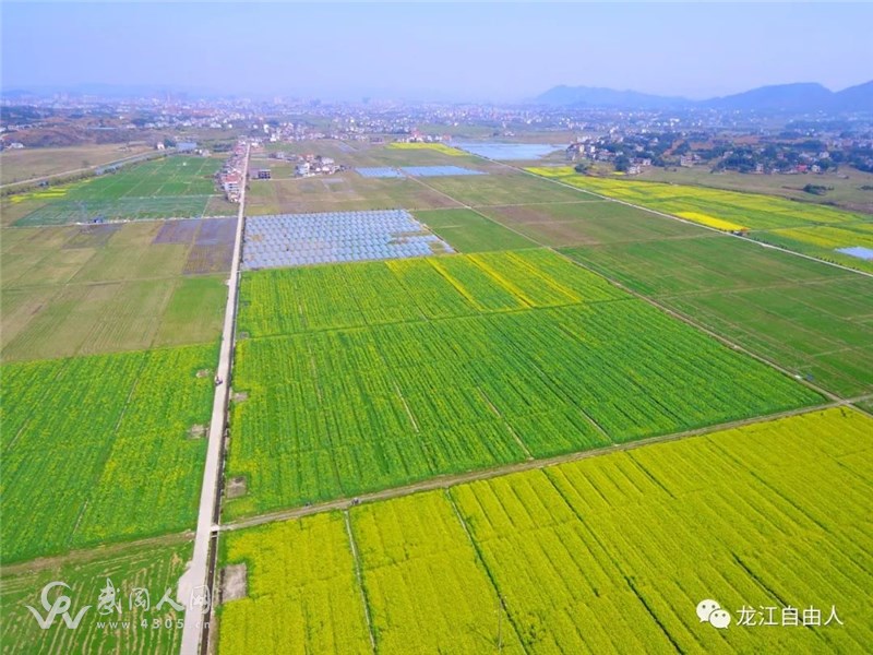 航拍武岡鄧元泰山嵐鋪油菜花