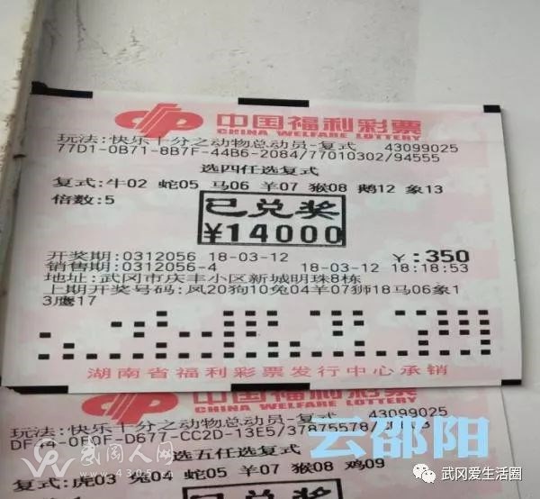 武岡彩民喜中動物大獎，獎金是...