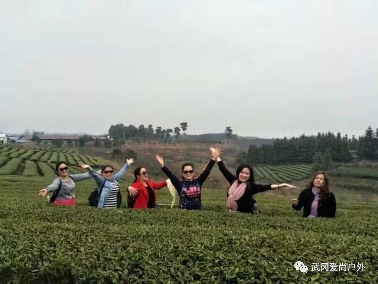 愛尚戶外—武岡威溪茶園一游