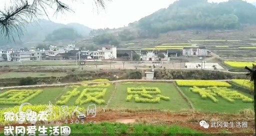 武岡最具創(chuàng)意油菜花地—精忠報國