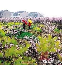 武岡天氣又來一次孩子氣
