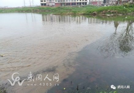 武岡污水直排,河道污染,污水處理廠請(qǐng)求支援!
