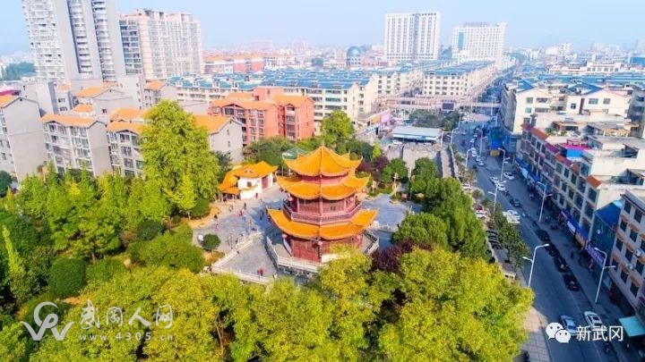 武岡創(chuàng)建省級(jí)森林城市,公路綠化率要達(dá)到80%以上