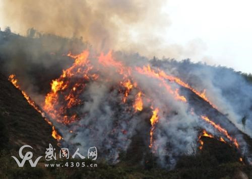 武岡山火燒到新寧縣去了!現(xiàn)場呼救聲,視頻記錄....