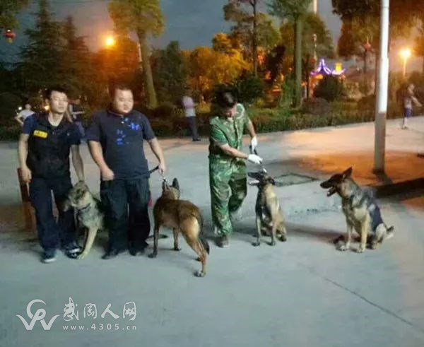 警犬出动， 30分钟找到迷失老人