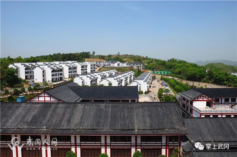 武岡這個地方去過的人都驚呆了..
