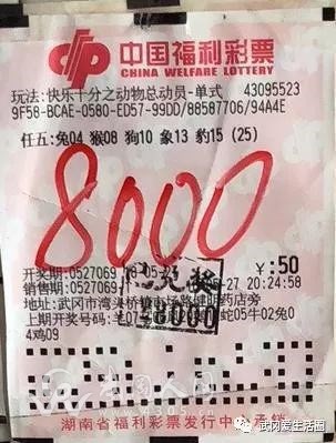 武岡這個彩民不得了！隨手一買就中大獎...