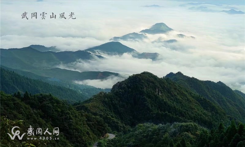 新云山6.jpg